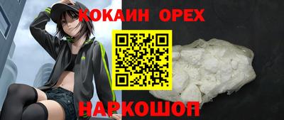 apvp Можга