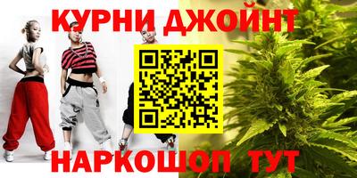 индика Можайск