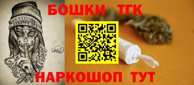 индика Можайск