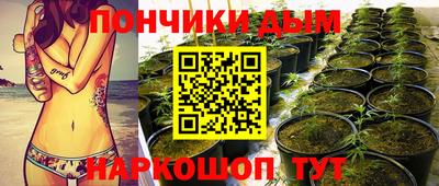 apvp Можга